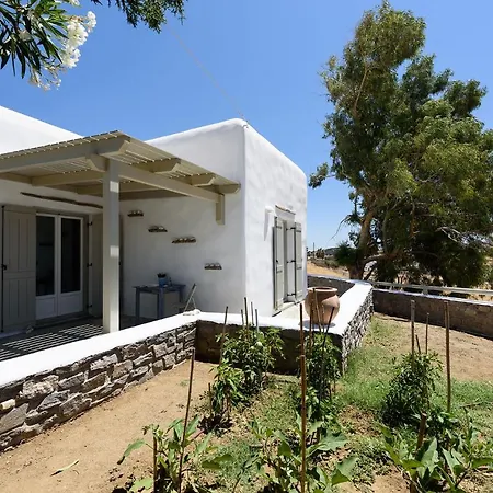 A Delight House *